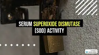 Serum Superoxide Dismutase (SOD) activity