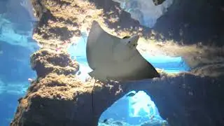 Wrocław Zoo Afrykarium #dolnyslask #facebook