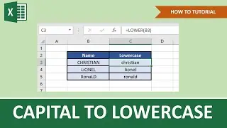 How To Change Capital Letters To Lowercase In Excel | Beginner Tutorial
