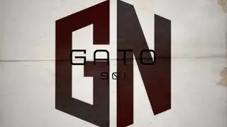 GatoZilla901...