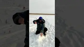 Кулушево. Щука 12кг!!!