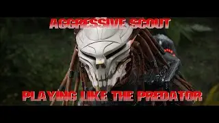 Playing like the predator