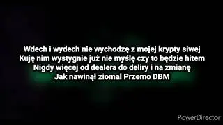 Guzior ft. Szpaku - Sowa - Tekst