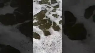 Северное море.Английское побережье