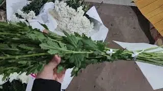 7.3770