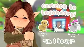 COMMON to LEGENDARY CHALLENGE in Adopt Me! 😱 | IN 1 HOUR! ✨