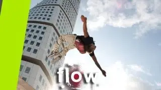 Tim Shieff & Marcus 'Zyrken' Gustafsson | Flow Asks (ep.2) | Flow