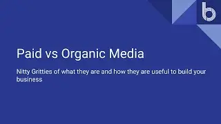 Organic vs Paid Advertising