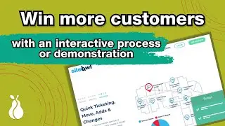SVG Animation Example #1   SiteOwl (No Sound)