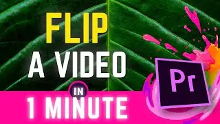 Premiere Pro Flip A Video Horizontally Or Vertically