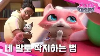 [샤샤&마일로🐾] 네 발로 착지하는 비법은❓❗ 그냥 타고난 거야😎