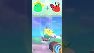 Every Tangle Slime Largo Combo | Slime Rancher 2 (Early Access)