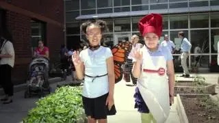 Growing Schoolyard Habitats in New Haven Public Schools