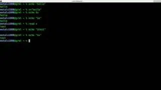 User Input Linux Shell Script Tutorial