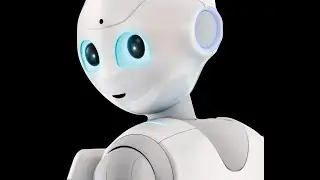 Interact Between Pepper Robot and Android Application