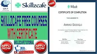 Skillzcafe Free Online Courses With Certificate | Skillzcafe Complete Tutorial