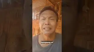 Facebook Reel Weekend Funny Videos Compilation Ep.17
