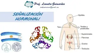 Señalización Hormonal.