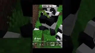 Toasty Meets Some Pandas 