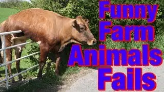 Funny Farm Animals Fails  | Animal Fails Compilation