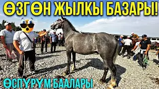 ӨСПҮРҮМДӨР РАБОЧИЙ АТТАР УШУНДАЙ БОЛДУ #байтв