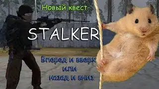 Сталкер Онлайн.Новый квест от Бобра.Вперед и вверх или назад и вниз