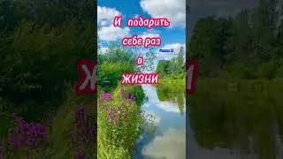#Жизненно...#