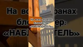 Когда везде цыплята и куры 😅 #дарьиндвор #chicken #цыплята #куры
