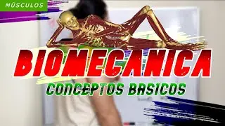 Biomecánica aplicada al gimnasio | Conceptos básicos