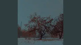 Dubsht