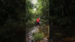İsviçre'nin Doğal Güzellikleri: Gezi Videoları Natural Beauties of Switzerland: Travel Videos