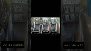 Cum crestem calitatea uleiului la cutia manuala?
