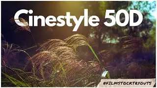 A cheap Kodak Gold or Portra 400? | #filmstocktryouts | #filmphotography