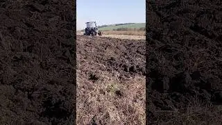 мтз+дтз сила