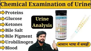 Chemical Examination of Urine in Hindi | Urine Analysis | Urine Test | DMLT | BMLT | Lab Technician