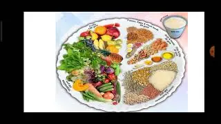 Healthy food plate