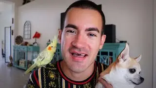 Talking About My Pets, Past & Present (ASMR StoryTime)