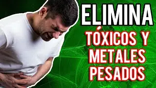 ❎APRENDE a ELIMINAR TÓXICOS y METALES PESADOS de tu cuerpo.☢️⛔