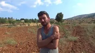 Pazarcık Kizirli Köyü - Antep Fıstığı Fidanı Gübreleme