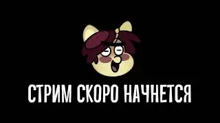 Отвечаем на вопросы