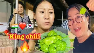 Korean Auntie first time trying King Chili 🔥🫣🇮🇳❤️🇰🇷