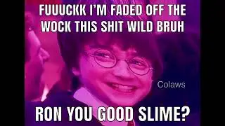 HARRY POTHEAD