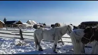 29 марта 2021 г.