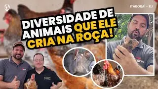 Vendedor de Café e CRIADOR DE GALINHAS: como ele CRIA DIVERSOS ANIMAIS com MANEJO TRADICIONAL
