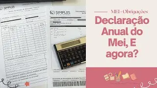 Declaração Anual do Mei, E agora?