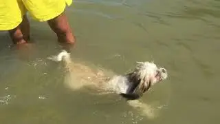 First Time To Swimming