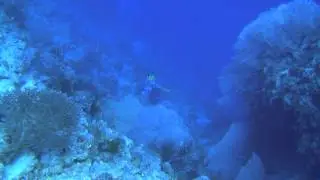 Красивые места