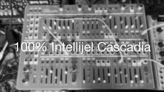 100% Intellijel Cascadia (Full Track)