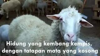 [10] Topik 1 Penambahan Teks ke Video dengan Filter Text