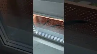 Сложный монтаж наружного блока в ЖК Западный Порт